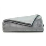 Gray Micro Plush College Blanket for Twin XL Beds
