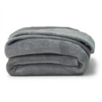Gray College Micro Plush Throw for Campus Living